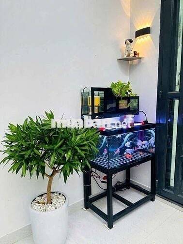 BÀN NHÀ HỒ VĂN LONG - BHHA DT 4.1*17M TRỆT ST 2L 3PN3WC PK-PB