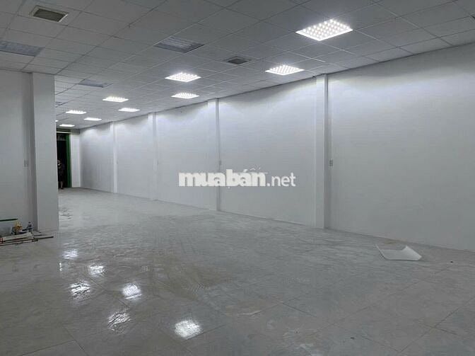 Mặt Tiền Đường Hồng Lạc Ngay Ngã Tư Đối Diện Chung Cư Bàu Cát