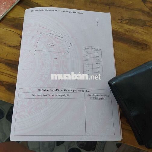 Cách đường tránh đông khoảng 200m