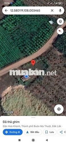 Cách đường tránh đông khoảng 200m