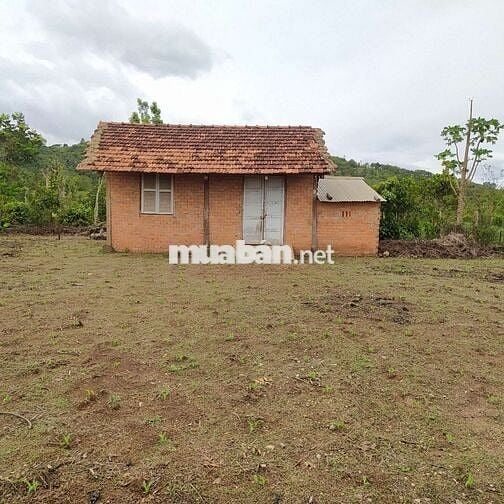 Cách đường tránh đông khoảng 200m