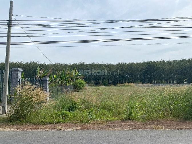 BÁN ĐẤT MẶT TIỀN DT744 – VỊ TRÍ KINH DOANH ĐẸP – GIÁ ĐẦU TƯ