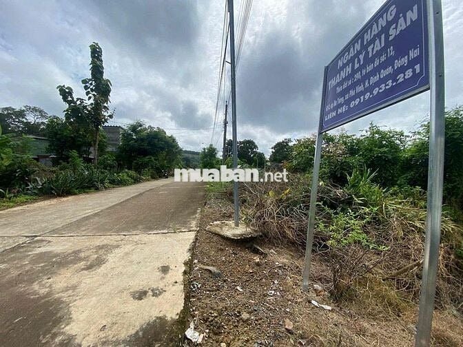 Ngân hàng Thanh Lý xã Phú Vinh, huyện Định Quán, tỉnh Đồng Nai.