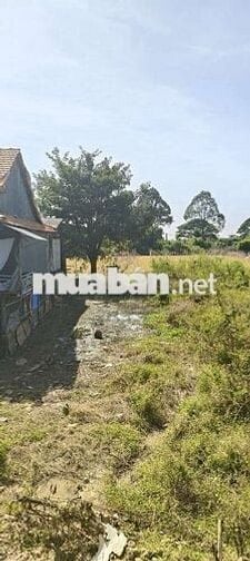 Đất mặt tiền quốc lộ 30. Gần bên phà