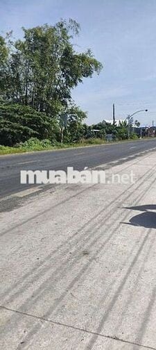 Đất mặt tiền quốc lộ 30. Gần bên phà