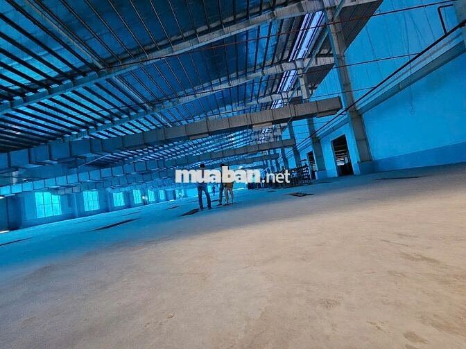 Bán kho xưởng KCN Đức Hòa , Long An, giá bán: 155 tỷ , đường container