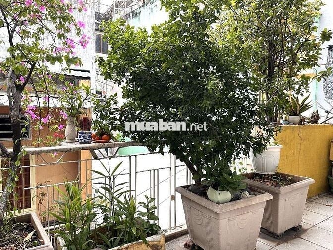 BÁN NHÀ ĐƯỜNG HÒA HẢO, DT 4,1x11, 45,4m2, 1 Trệt, 1 Lửng, 1 Lầu, 109m2