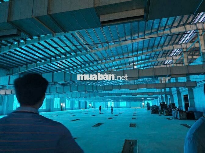 Bán kho xưởng KCN Đức Hòa , Long An, giá bán: 155 tỷ , đường container