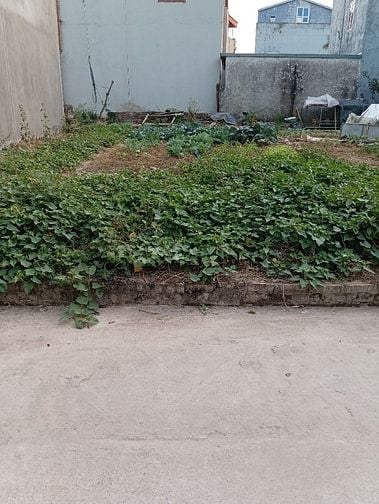 Bán Đất - Đông Lai(Quang Tiến) - Đường Thông -91M2 Full Thổ Cư-2,8Tỷ  