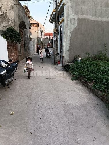 Bán Đất - Đông Lai(Quang Tiến) - Đường Thông -91M2 Full Thổ Cư-2,8Tỷ  