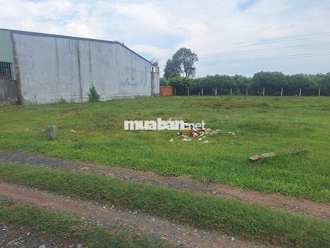 5x38m Full thổ cư. Gần Đường Lớn. Sổ Hồng Riêng. Chỉ 450 Triệu