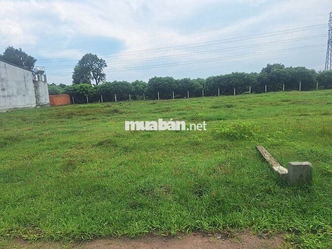 5x38m Full thổ cư. Gần Đường Lớn. Sổ Hồng Riêng. Chỉ 450 Triệu