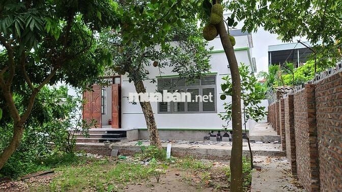 Cho thuê Nhà + vườn 1000m2 tại Chùa Thầy, Xã Sài Sơn, Quốc Oai, Hà Nội