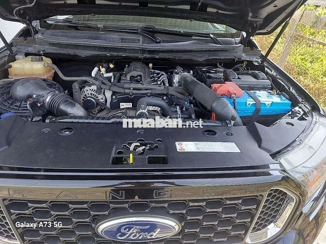 Forenger xls 2.2 AT 2020