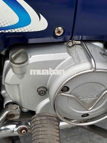 wae apha 2003 nguyên rin