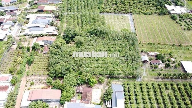 399TR. 5x30m Full Thổ Cư. Ngay Ngã 3 Đất Sét Công Ty CanSports