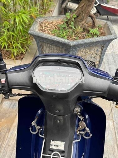 wae apha 2003 nguyên rin