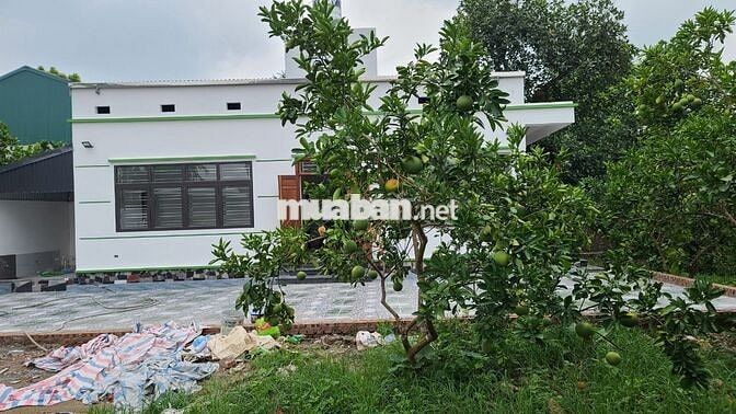 Cho thuê Nhà + vườn 1000m2 tại Chùa Thầy, Xã Sài Sơn, Quốc Oai, Hà Nội