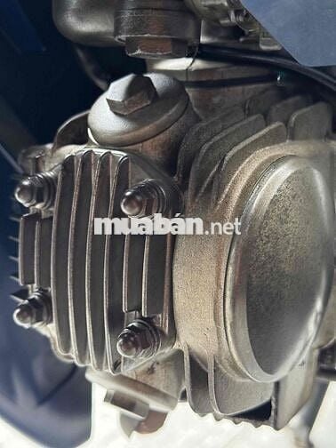 wae apha 2003 nguyên rin