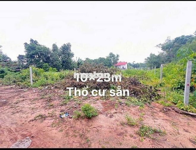 10x23 có thổ cư. Gần nhựa. Gần KCN. 686TR