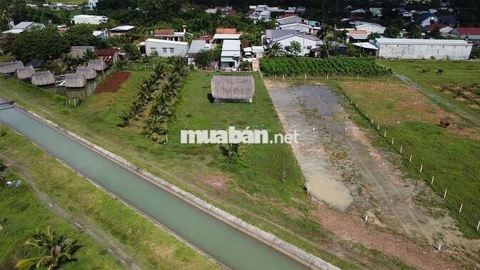 6x60m Mặt Tiền Kênh Thoáng Mát Có Thổ Cư. Sổ Hồng Riêng. Chỉ 499Tr