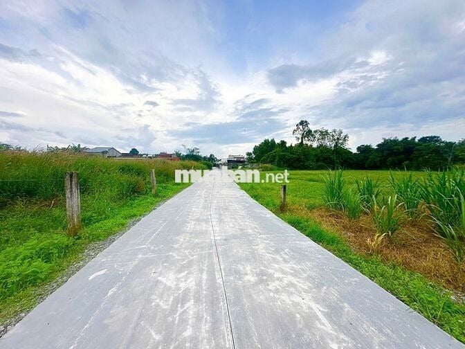 5x40m Full Thổ Cư. Đường BêTông 4m. Sổ Hồng Riêng. Chỉ 550Tr