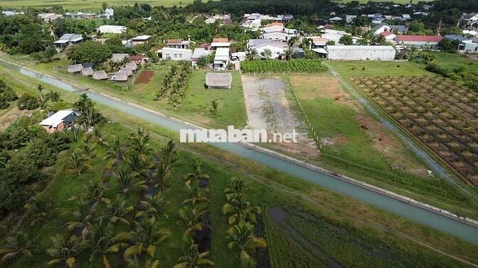 6x60m Mặt Tiền Kênh Thoáng Mát Có Thổ Cư. Sổ Hồng Riêng. Chỉ 499Tr