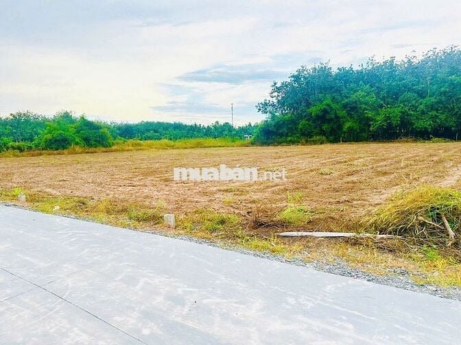 5x40m Full Thổ Cư. Đường BêTông 4m. Sổ Hồng Riêng. Chỉ 550Tr