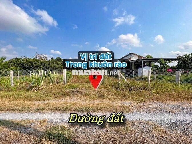 Đất Đẹp Giá Rẻ 10x50m Thổ Cư. Sổ Hồng Riêng. Chỉ 950Tr