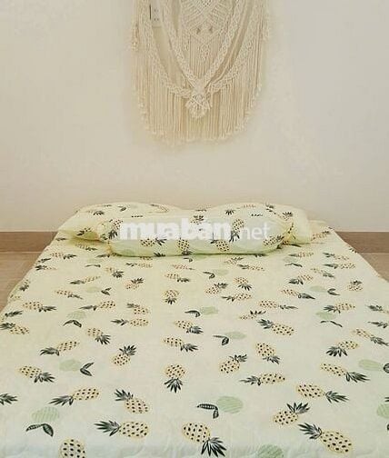 CHO THUÊ NHÀ TRỌ MINIHOUSE TRẦN PHÚ CẦN THƠ