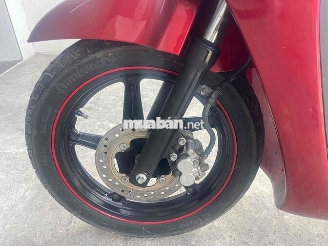 sh nhập ý biển số sảnh tiến