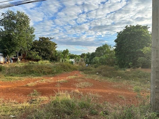 Công ty đấu giá hợp danh Thành Trí THÔNG BÁO ĐẤU GIÁ TÀI SẢN