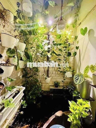 PHÒNG TRỆT  CHO THUÊ CẠNH SÂN BAY TSN