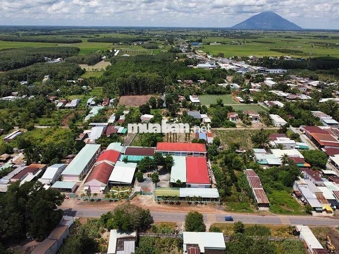 350 Triệu. 5x52m Có Thổ Cư. Nằm Trong Trung Tâm Khu Dân Cư.