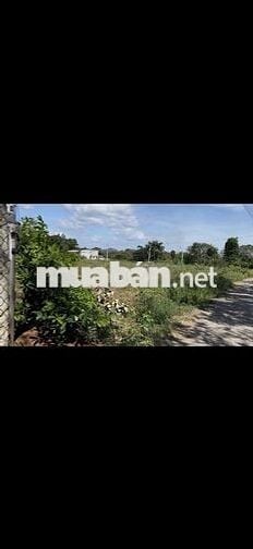 Cần Tiền nên Bán Lô Thổ Cư 186m2 đường nhựa Lớn cho ai muốn An Cư