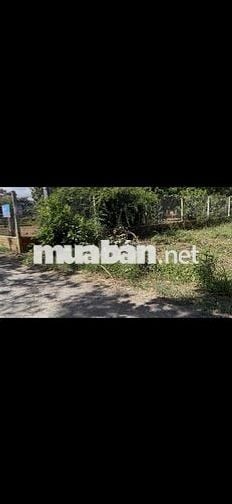 Cần Tiền nên Bán Lô Thổ Cư 186m2 đường nhựa Lớn cho ai muốn An Cư