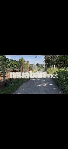 Cần Tiền nên Bán Lô Thổ Cư 186m2 đường nhựa Lớn cho ai muốn An Cư