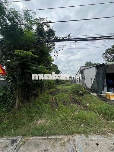 150M2 ĐẨT TỈNH LỘ 7 - MẶT TIỀN NHỰA 20M - CHỈ 980TR