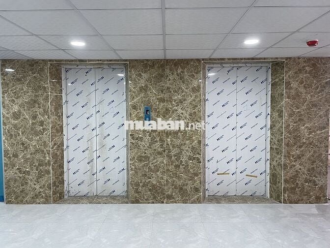 Chính chủ cho thuê nguyên căn tòa nhà văn phòng