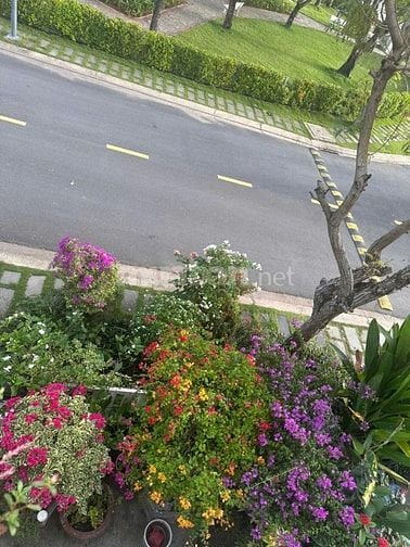 CHÍNH CHỦ BÁN CĂN GÓC 2 MẶT TIỀN VIEW CÔNG VIÊN - HỒ BƠI DỰ ÁN LOVERA 