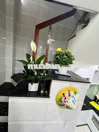 BÁN NHÀ LÝ THÁI TỔ P.10 Q.10 4 TẦNG (3,1m x 8m) Nở Hậu 3,5m - 5,3T TL