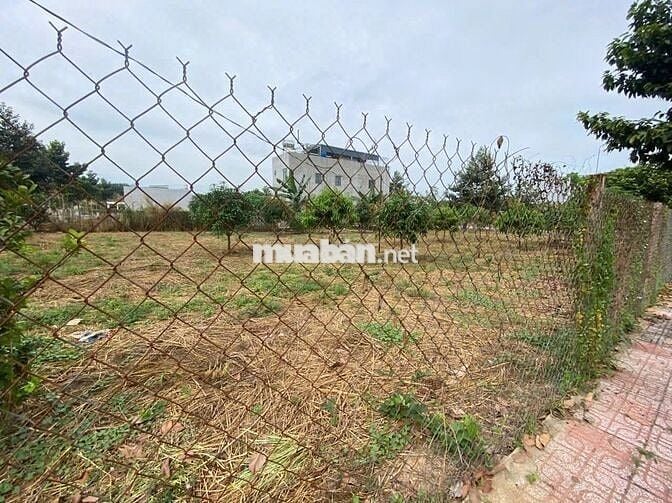 Chính chủ cần bán nhanh lô đất 185m2 ngay chợ Tân Hiệp - sổ hồng riêng