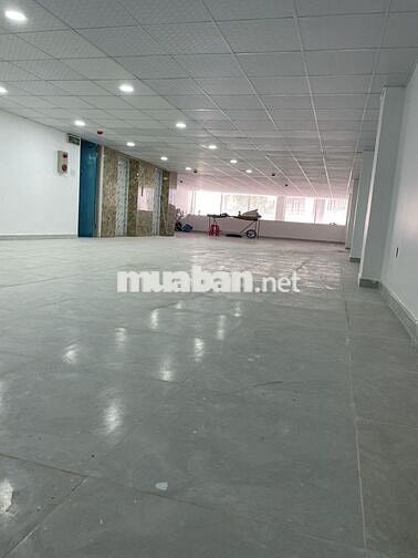 Chính chủ cho thuê nguyên căn tòa nhà văn phòng