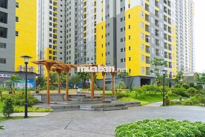 CĂN THÁP EMERALD GIÁ TỐT–  2PN