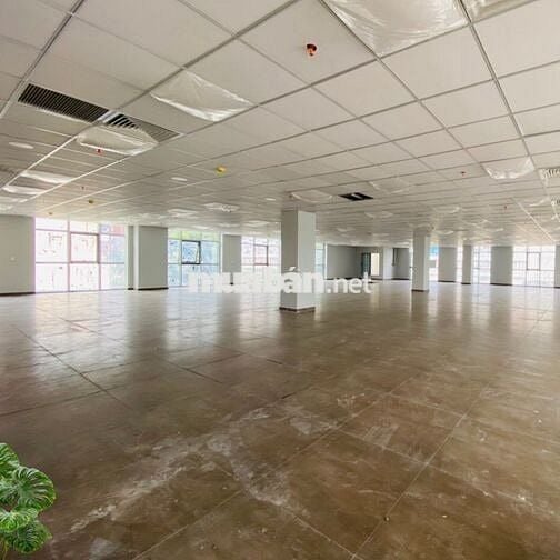 Văn Phòng Cho Thuê Mộc Gia Tân Thắng, Đối Diện Aeon Mall, Cạnh Celadon