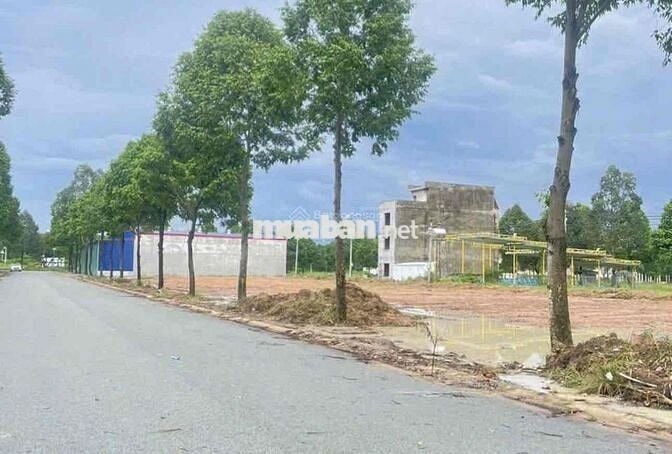 Bán ngộp lô đất 300m2 chỉ 450Tr ngay Lai Uyên ,Bàu Bàng đầutư tích san