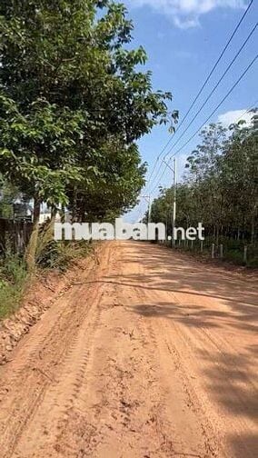 Bán đất 2 mặt tiền 40519m² ( mặt tiền 162m) giá rẻ nhất khu vực