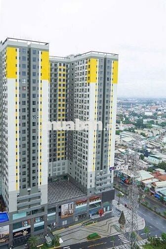 CĂN THÁP EMERALD GIÁ TỐT–  2PN