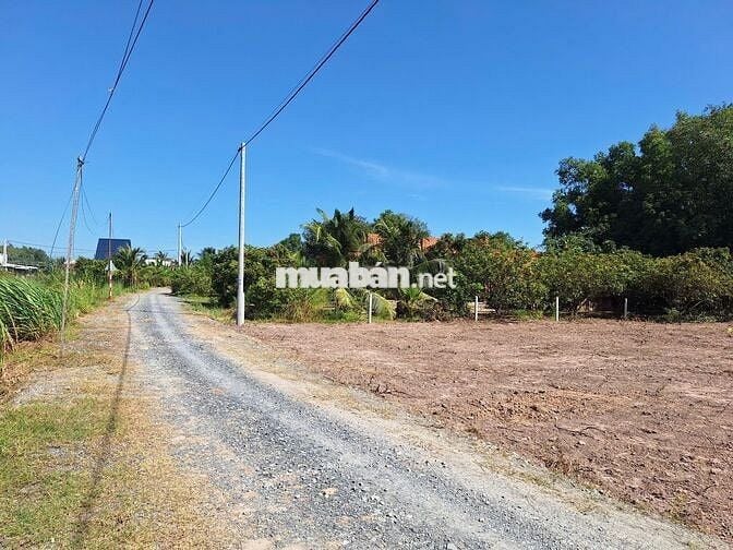 1000m2 Phù Hợp Làm Nhà Vườn, Nhà Trọ. Sổ Hồng Riêng. Chỉ 750 Triệu