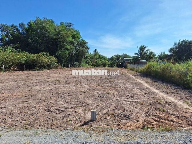 1000m2 Phù Hợp Làm Nhà Vườn, Nhà Trọ. Sổ Hồng Riêng. Chỉ 750 Triệu